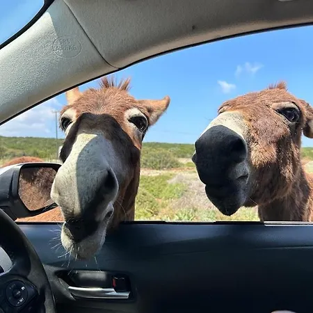 Penthouse I Sjokanten Pa Dejablue *