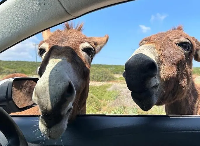 Penthouse I Sjokanten Pa Dejablue *